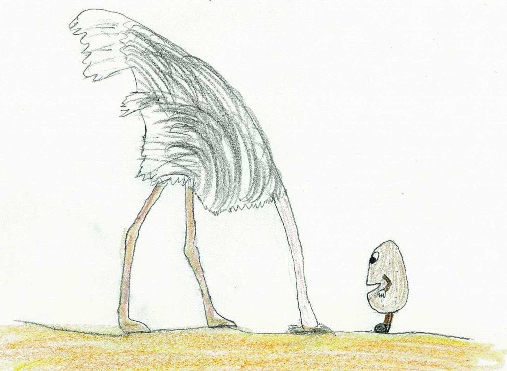 ostrich and potato