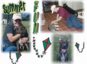 From a 2008 calendar made by one of my coworkers. This was for the month of August. The pit bull's name was Jordan, and I think the cat I'm petting was Bam Bam. He was a character.